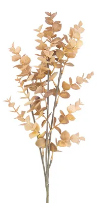 Immagine prodotto di Clayre & Eef, fiore artificiale, colore beige, materiale: plastica