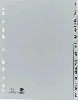 Produktbild von Exacompta 25x Register A4 RC-PP grau 120µ Jan-Dez. (DE) 12 Pos Grau 1812B