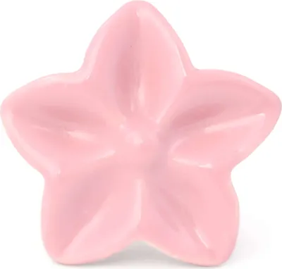 Produktbild von Knauf Sternblume rosa