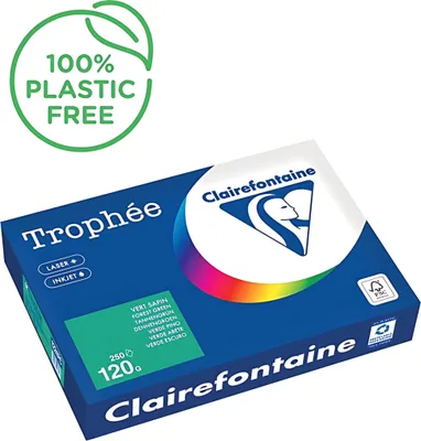 Zdjęcie produktu dla Clairefontaine 1224PC Clairefontaine Kopierpapier Trophée tannengrün DIN A4 120 g/qm 250 Blatt
