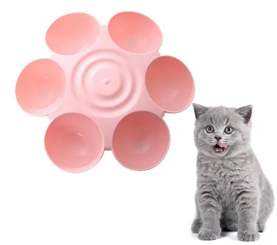 Produktbild von Rutschfester Futternapf für Katzen mit 6 Gitterstäben