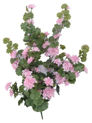 Produktbild von aplanta Künstliche Hänge-Geranie - Sunny | 88 cm rosa, UV-beständig, Steckpflanze, für drinnen, draußen, Kunstpflanze, wie echt, Allergiker geeignet, pflanzliche Dekoration Praxis, Office & Wohnzimmer