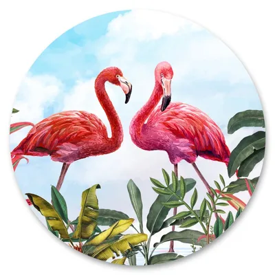 Produktbild von Sticker Kreis FLAMINGOS tropische Blätter Vögel Pflanzen Wolken Natur Aufkleber Wandtattoo Wohnzimmer Büro 100 cm x 100 cm