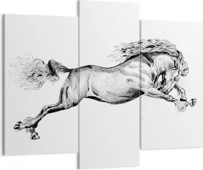Produktbild von Bild auf Leinwand - Leinwandbild - 3 Teile - Pferd Zeichnung Bleistift - 130x100cm - Wand Bild - Wanddeko - Wandbilder - Leinwanddruck - Bilder - Wanddekoration - Leinwand bilder - CB130x100-4906