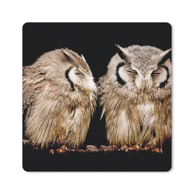 Produktbild von MuchoWow® Mauspad Mousepad Eule - Vogel - Schwarz 20x20 cm - Mousepads - Maus Mat - Pad - Mausunterlage - Desk Mat - Bureauartikeln