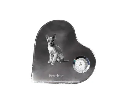 Produktbild von Peterbald - Kristalluhr mit Katzenbild, Herzregal-Uhr, personalisierte Standuhr von Art-Dog.