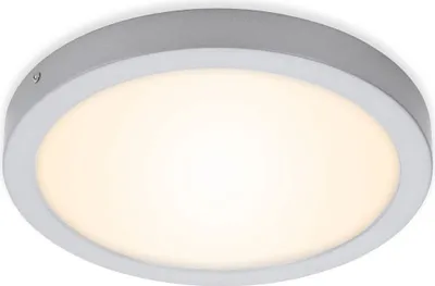 A close-up, studio shot of a round, flush-mount LED ceiling light with a gray metal frame and a white diffuser.