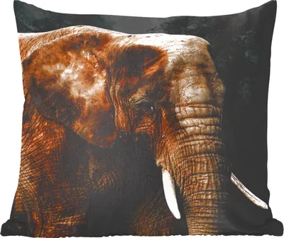 Produktbild von MuchoWow® Zierkissen Sofakissen Wohnzimmer Dekokissen 60x60 cm Elefant - Tiere - Braun - Sitzfläche - Foto Polster
