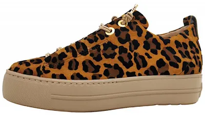 Image de Chaussures Paul Green pour femmes, bottes, chaussures à lacets, bottines, couleur marron, style décontracté