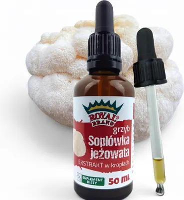 Image de Lion's mane (Hericium erinaceus) extrait d'échinacée, l'extrait soutient la mémoire 50 ml d'extrait naturel d'échinacée pour herabita