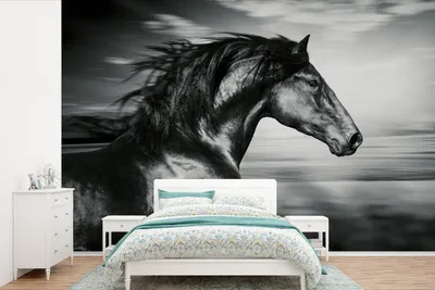 Produktbild von MuchoWow® Fototapete für Wohnzimmer oder Schlafzimmer Wandtapete Vinyl Motivtapete Pferd - Tiere - Schwarz - Weiß - 525x350 cm - Das Hintergrundbild