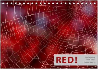 Produktbild von RED! (Tischkalender 2025 DIN A5 quer), CALVENDO Monatskalender