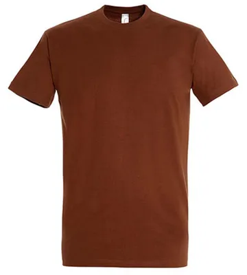 Image de SOLS - T-shirt « Imperial » pour hommes/femmes unie, coton filé à l'anneau LT2562 (M) (couleur terre)