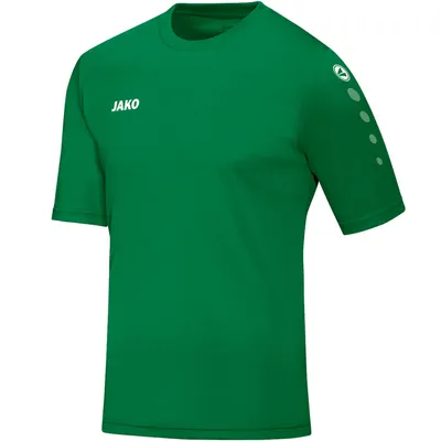 Produktbild von Trikot Team KA JAKO