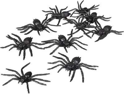 Produktbild von 10 Stück Halloween Dekoration schwarz 5cm