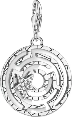 Zdjęcie produktu dla Thomas Sabo Charms mit Carriern 1823-643-14