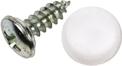 Imagen del producto de Tornillo para matrícula Dresselhaus, número de artículo 4628/001/51, dimensiones 5,6 x 16 mm, acero, caja