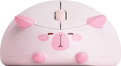 Immagine prodotto di Mouse wireless con motivo del gatto Akko (Capybara, rosa)