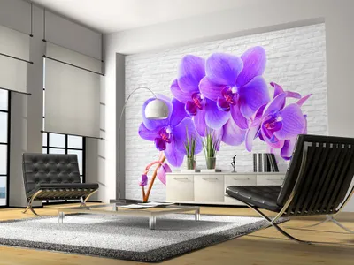 Produktbild von Vlies Fototapete 400x280 cm Tapeten Wandtapete XXL Blumen 10110906-100
