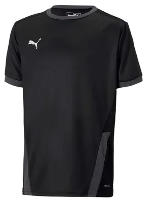 Produktbild von PUMA Jungen Teamgoal 23 Jersey Jr T-shirt, Puma Black-asphalt, 164 EU