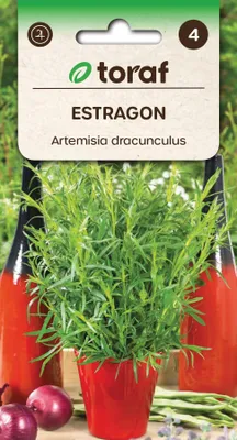 Zdjęcie produktu dla Nasiona ziół Estragon zioła - Toraf 290
