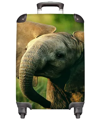 Produktbild von MuchoWow® Koffer Handgepäck Trolley Rollkoffer Kleine Reisekoffer mit 4 Rollen - Elefant - Grün - Tiere - Natur - Cabin Size < 55x40x23 cm & 55x40x20 cm - Fotokoffer - Kabinenkoffer - Boardgepäck - Reise-Box - Reisekoffer - Reisegepäck - Koffer mit Bild - Trolley für Kinder