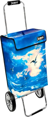 Produktbild von James Einkaufstrolley - JONATHAN - stabiler Einkaufswagen mit individuellem Design - einfarbig: blau in Ausführung: Chrome19