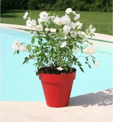 Image de Pot décoratif RIVIERA, rond, résistant aux intempéries, rouge foncé, 49x45cm