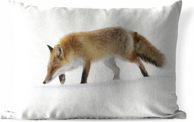 Produktbild von MuchoWow® Outdoor Kissen - Fuchs - Schnee - Weiß - 60x40 cm - Wetterfest - Lounge Kissen - Zierkissen - Kissen für Innenräume