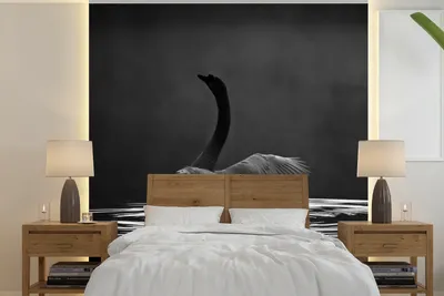 Produktbild von MuchoWow® Fototapete für Wohnzimmer oder Schlafzimmer Wandtapete Vinyl Motivtapete Schwan auf dem Wasser - 220x220 cm - Tapeten