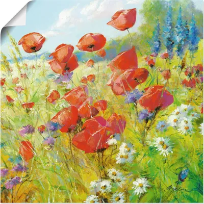 Produktbild von ARTland Poster Sommerwiese mit Mohnblumen Größe: 70x70 cm