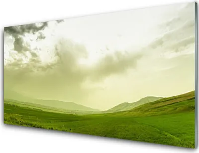 Produktbild von Küchenrückwand aus Glas 100x50cm Spritzschutz Wiese Natur