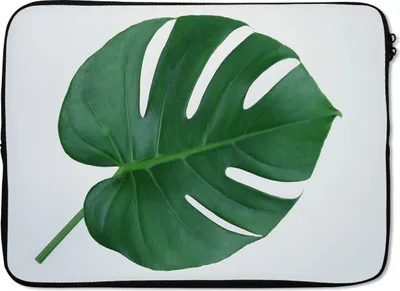 Produktbild von MuchoWow® Laptop Hülle 13 Zoll Botanische Lochpflanze auf einem hellgrauen Hintergrund Laptoptasche - Laptophülle - Sleeve - Rundumschutz