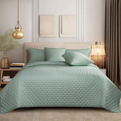 Obrázek produktu pro 3dílný přehoz na postel 220x240cm, sada přehozů na postel se 2 povlaky na polštáře 50x75cm, měkké mikrovlákno, oboustranná přikrývka, světle zelená