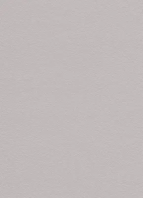 Produktbild von Erismann Vinyltapete 9733-37 Putzstruktur taupe 10,05 x 0,53 m