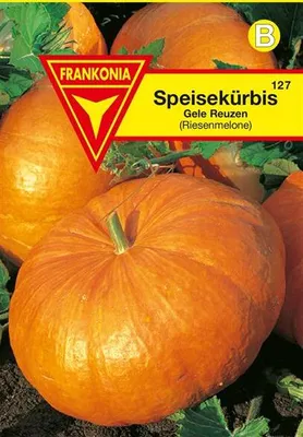 Produktbild von Kürbis Gele Reuzen
