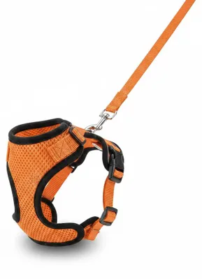 Obrázek produktu pro InAndOutdoorMatch - Vodítko pro kočky - Nastavitelné - Reflexní - Oranžové