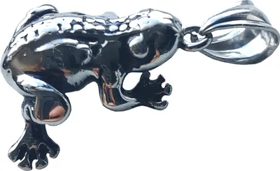 Produktbild von Edelstahlanhänger aus 316L Frosch
