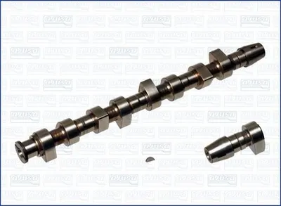 Obrázek produktu pro AJUSA 93057900 Vačkový hřídel pro FORD GALAXY (WGR)