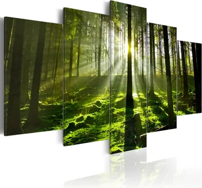 Image de Toile imprimée Paysage forestier 200 x 100 cm Toile imprimée intissé 5 pièces Impression artistique moderne Tableaux muraux XXL Décoration murale Design Tableau mural - Nature Soleil Arbres 030213-32