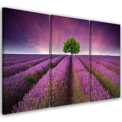 Produktbild von Triptychon auf leinwand blumen - violett 120x80 cm Feeby lila wandbild bereit zum aufhängen