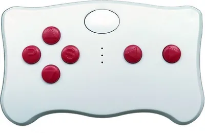 Image de Lean Cars Remote control 2.4G TX10