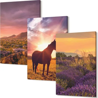 Produktbild von Wandbild – Leinwandbild – Leinwandbilder – Polycanvas – Kunstdruck – Modern – Panorama – Mehrteilig – 3-Teilig Set – Hochwertig – Lichtecht – Geruchslos – 20x30 Cm Je Element - Berglandschaften mit Pferden und Lavendelfeldern