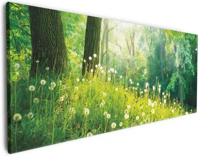Produktbild von Wallario Premium Leinwandbild Pusteblumen im Wald mit einfallenden Sonnenstrahlen in Größe 80 x 200 cm