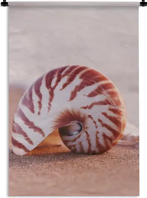 Produktbild von MuchoWow® Wandteppich Wandbehang Muschel - Strand - Meer - Sand 60x90 cm Tapisserie Dekoration Wandtuch - Foto-Teppich - Abwaschbar