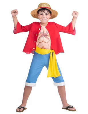 A young boy wearing a costume.
