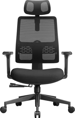 Zdjęcie produktu dla Krzesło biurowe, ergonomiczna konstrukcja, regulowane podparcie lędźwiowe, kolor czarny