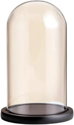 Immagine prodotto di Cupola in vetro trasparente - Campana decorativa - Espositore per fiori - Con base in legno - 15 x 17 cm