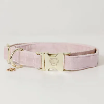 Obrázek produktu pro Kentucky Dogwear obojek pro psy Velvet Collar Light Pink S