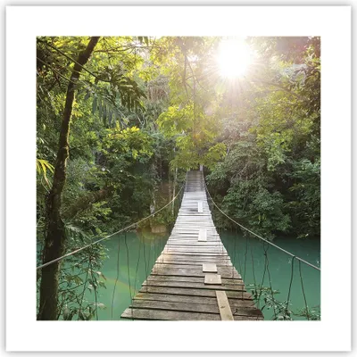 Produktbild von Poster - Poster ohne Rahmen - Brücke Seil Dschungel - 40x40 cm - Wand Bild - Wanddeko - Wandbilder - Kunstposter - Wandposter - Bilder - Kunstdruck - Wanddekoration - Wandbild - P2XAC40x40-4397